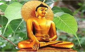 Tự giáo dục